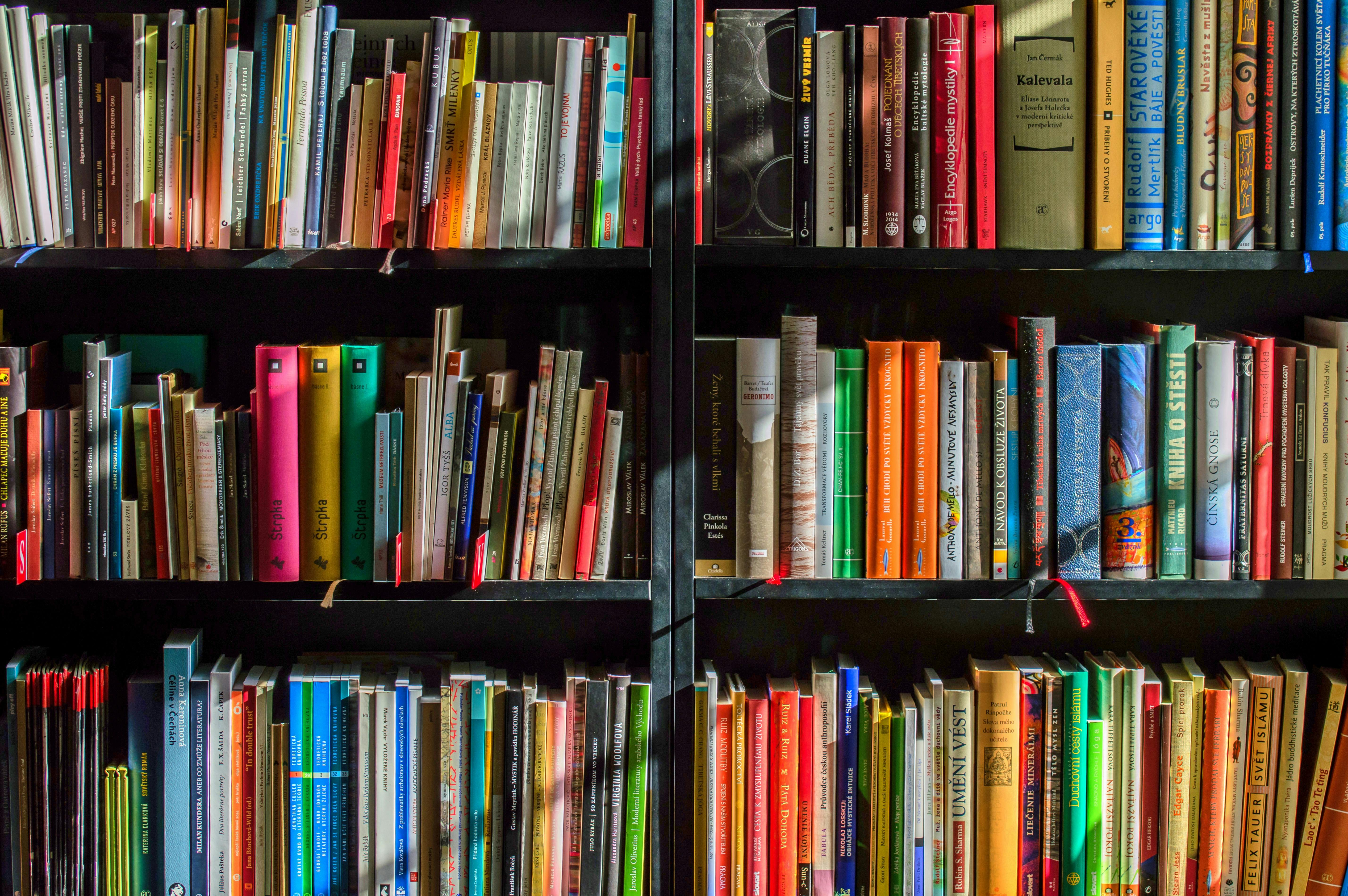 Books at Hushmark Press